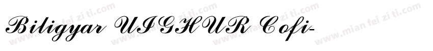 Biligyar UIGHUR Cofi字体转换